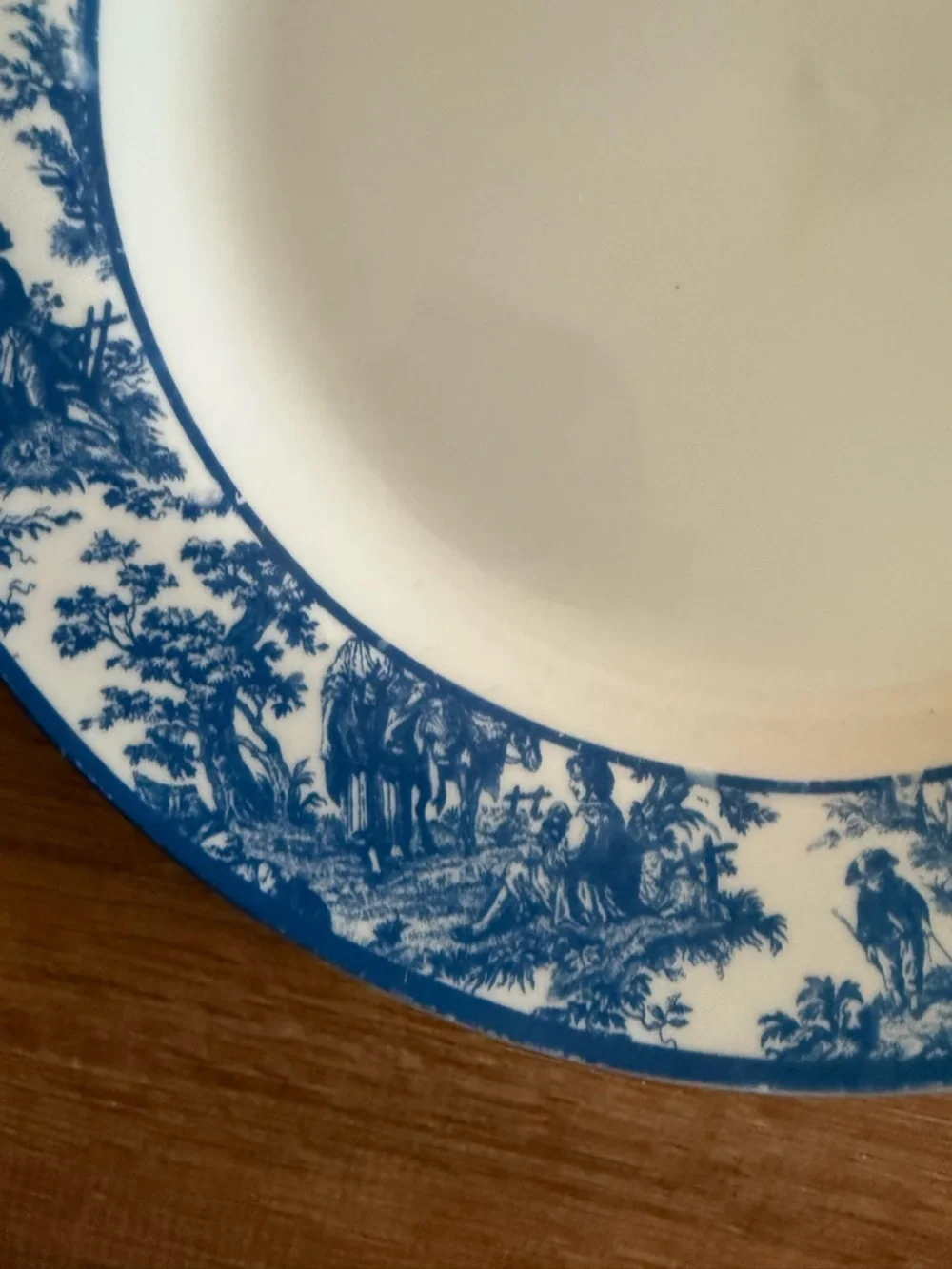 Waverly Country Life Blue Toile 10 Porcelain Dinner Plate